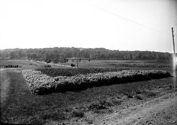 Arlington Farm - Arlington, VA